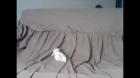 barrysand online show from 11-11-25, 04:12