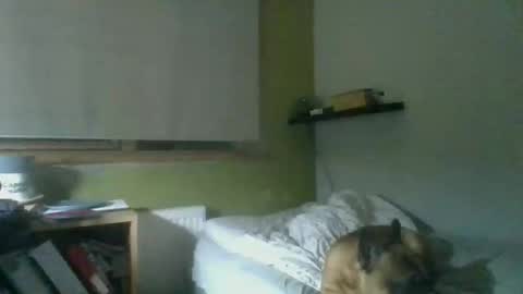 Snapshot of bart_poland chatting on 10-23-25, 09:02 bart_poland online show from 10-23-25, 09:02