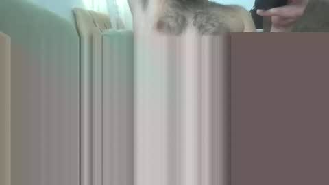 bathoneacock online show from 03-02-25, 08:16