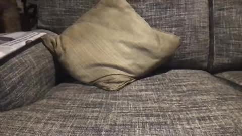 Snapshot of baykiwi54 chatting on 12-17-24, 08:45 baykiwi54 online show from 12-17-24, 08:45