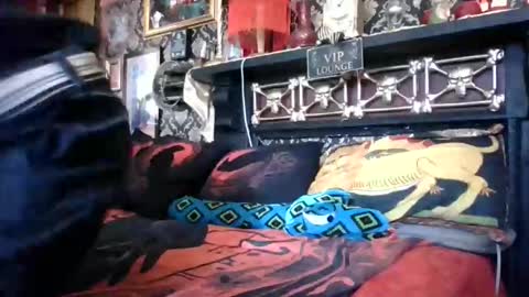 Bazza online show from 02-18-26, 05:03