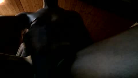 Ferdinandooo online show from 06-02-26, 09:39