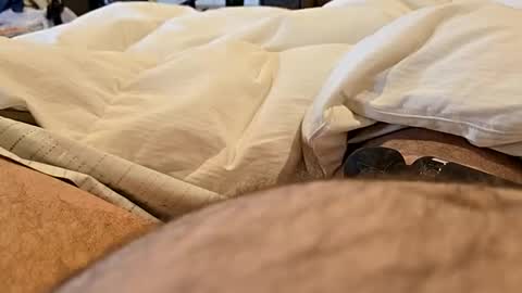 Snapshot of bbjj1970 chatting on 11-29-25, 12:19 bbjj1970 online show from 11-29-25, 12:19