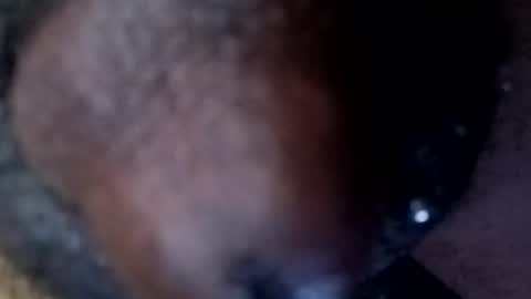 Snapshot of bcfalcon69 chatting on 04-30-26, 02:40 bcfalcon69 online show from 04-30-26, 02:40