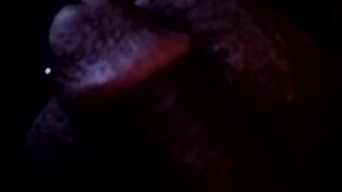 Snapshot of bcfalcon69 chatting on 05-03-26, 03:45 bcfalcon69 online show from 05-03-26, 03:45
