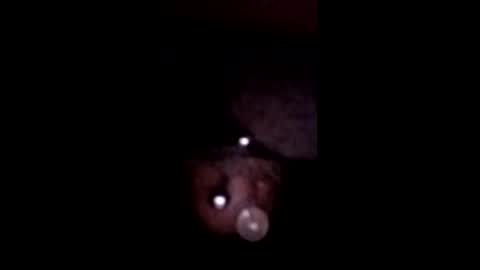 Snapshot of bcfalcon69 chatting on 05-12-26, 05:48 bcfalcon69 online show from 05-12-26, 05:48