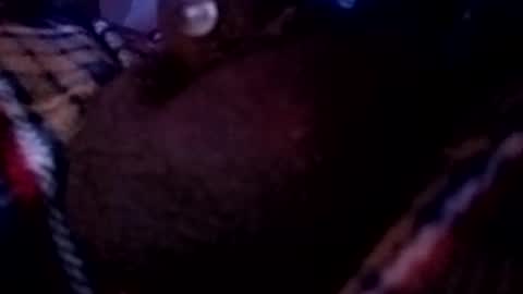 Snapshot of bcfalcon69 chatting on 05-16-26, 02:41 bcfalcon69 online show from 05-16-26, 02:41