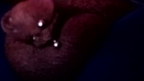 Snapshot of bcfalcon69 chatting on 05-17-26, 03:15 bcfalcon69 online show from 05-17-26, 03:15