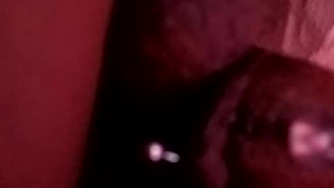 Snapshot of bcfalcon69 chatting on 05-26-26, 06:20 bcfalcon69 online show from 05-26-26, 06:20