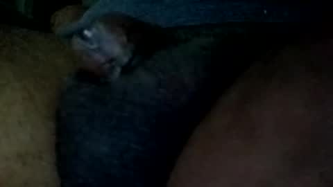 Snapshot of bcfalcon69 chatting on 05-31-26, 04:53 bcfalcon69 online show from 05-31-26, 04:53