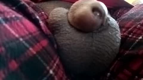 Snapshot of bcfalcon69 chatting on 06-01-26, 01:24 bcfalcon69 online show from 06-01-26, 01:24