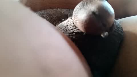 Snapshot of bcfalcon69 chatting on 06-07-26, 12:42 bcfalcon69 online show from 06-07-26, 12:42