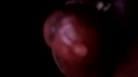 Snapshot of bcfalcon69 chatting on 06-14-26, 05:09 bcfalcon69 online show from 06-14-26, 05:09