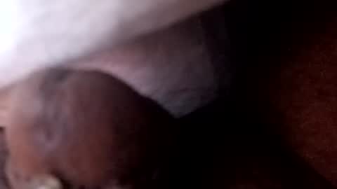 bcfalcon69 online show from 07-02-26, 05:46