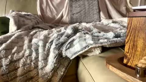 BeachyMILF online show from 11-01-25, 05:26