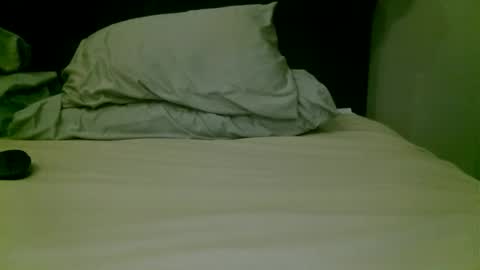 beagle1 online show from 04-17-26, 05:10