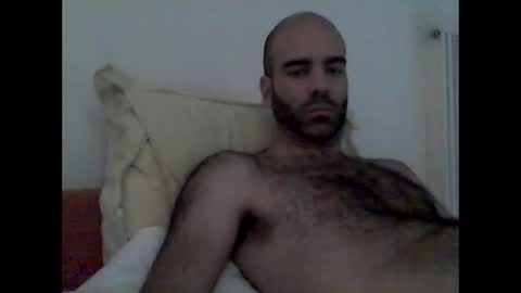 Snapshot of bear14250949 chatting on 11-16-25, 11:38 bear14250949 online show from 11-16-25, 11:38