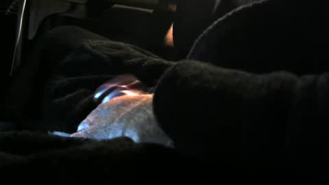 bear4146 online show from 12-08-24, 03:24