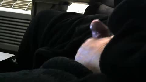 bear4146 online show from 03-29-26, 01:00