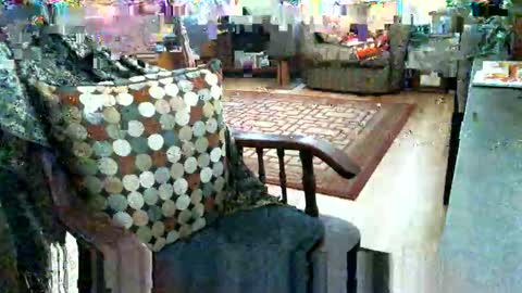 beardie89 online show from 01-12-26, 05:40