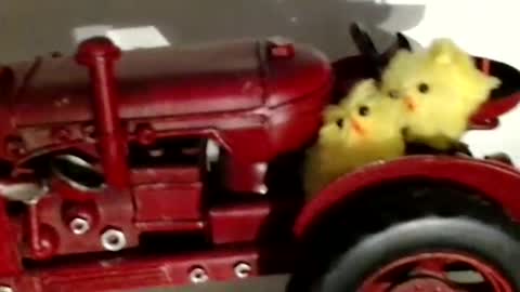 Raluca online show from 09-27-25, 06:24