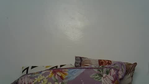 beeswee online show from 12-19-24, 06:01