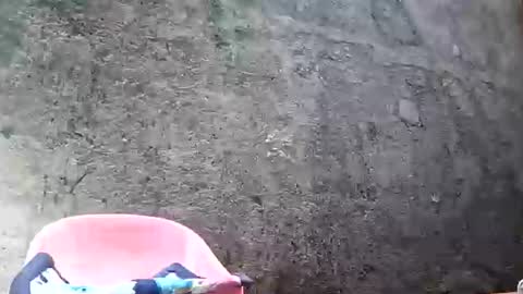 Tezza online show from 02-28-25, 08:53