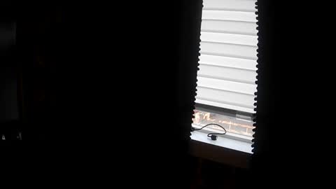Snapshot of belessa4u chatting on 03-20-26, 12:48 belessa4u online show from 03-20-26, 12:48