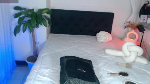 Bella Porch online show from 03-02-26, 07:15