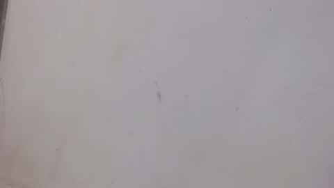 Bergon77 online show from 02-01-25, 01:02