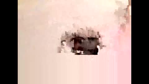 Cock arabic Authentic online show from 11-11-25, 08:42