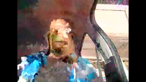 Cock arabic Authentic online show from 11-13-25, 11:09