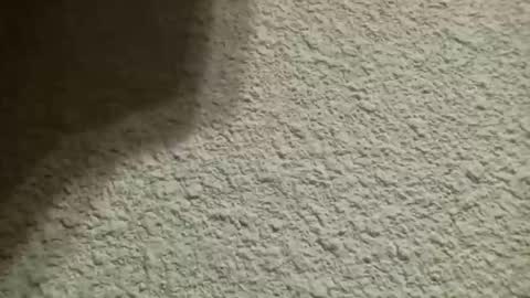 Bigfish123 online show from 10-10-25, 04:44