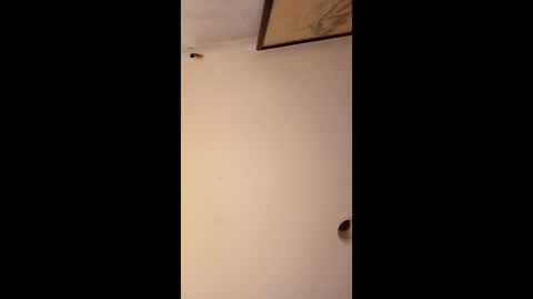 bgiamba21 online show from 01-12-26, 06:51