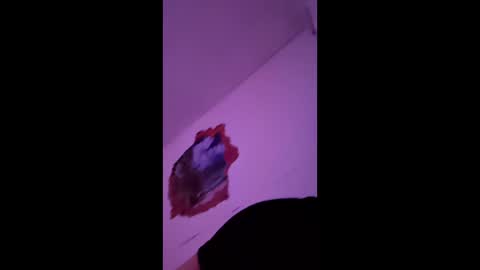 bgiamba21 online show from 02-07-26, 10:19