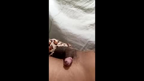 Snapshot of biel369737 chatting on 03-02-26, 04:36 biel369737 online show from 03-02-26, 04:36