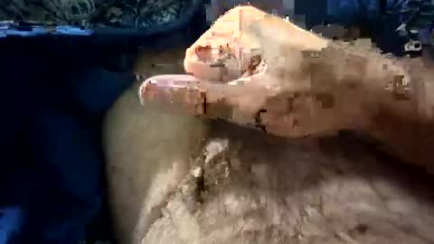 Snapshot of big88385909 chatting on 10-21-25, 12:11 big88385909 online show from 10-21-25, 12:11