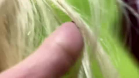 Snapshot of big_clit71 chatting on 01-01-25, 06:05 angela online show from 01-01-25, 06:05