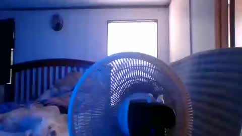 BB online show from 03-28-26, 08:30