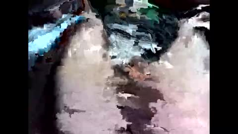 Snapshot of bigbird0100101 chatting on 02-07-26, 06:55 bigbird0100101 online show from 02-07-26, 06:55