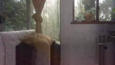 bigbossforsirius online show from 12-01-24, 04:29