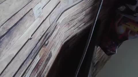 Snapshot of bigboyband chatting on 12-27-24, 08:56 Bigboyband online show from 12-27-24, 08:56