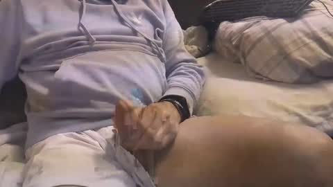 L e g a l    S t u f f Any UNAUTHORIZED use of this profile video pictures or audio in any form or in a forum now or in the fu online show from 03-03-25, 04:58