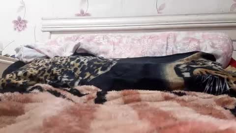 bigcock977654 online show from 02-23-25, 01:13