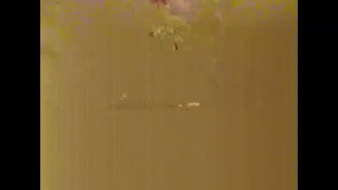 bigdaddydongarlets391292 online show from 10-17-25, 08:06