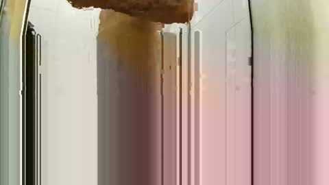 bigdick31589 online show from 05-03-26, 06:25