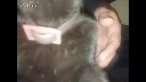 Big online show from 02-22-26, 02:34