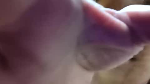 bigdickdaddy7201979564868 online show from 06-10-26, 08:24