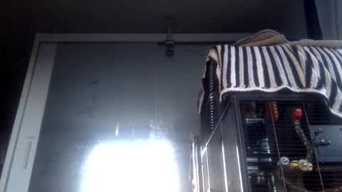 bigdickdangles472924 online show from 09-19-25, 06:08