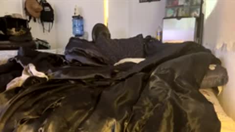 bigdickpapishampoo online show from 02-04-26, 06:47